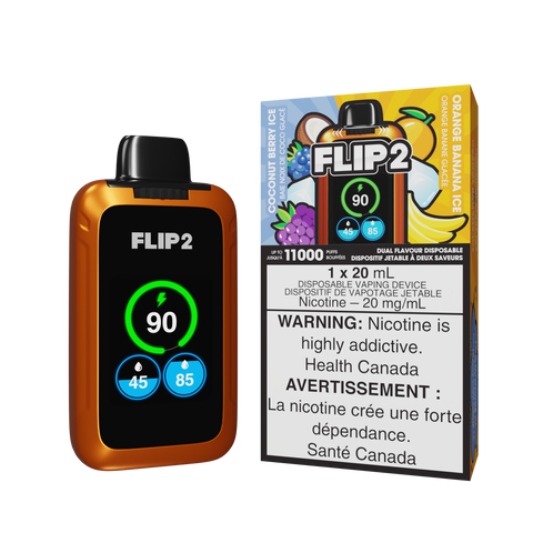 FLIP 2 DISPOSABLE - 11000 Puffs