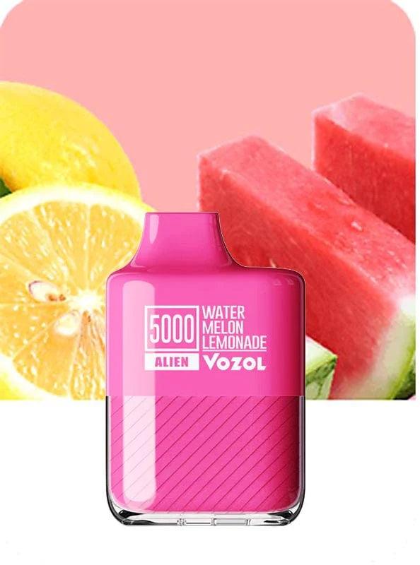 VOZOL Alien 5000 Disposable (Synthetic 50) - 5000 Puffs - HM Vape